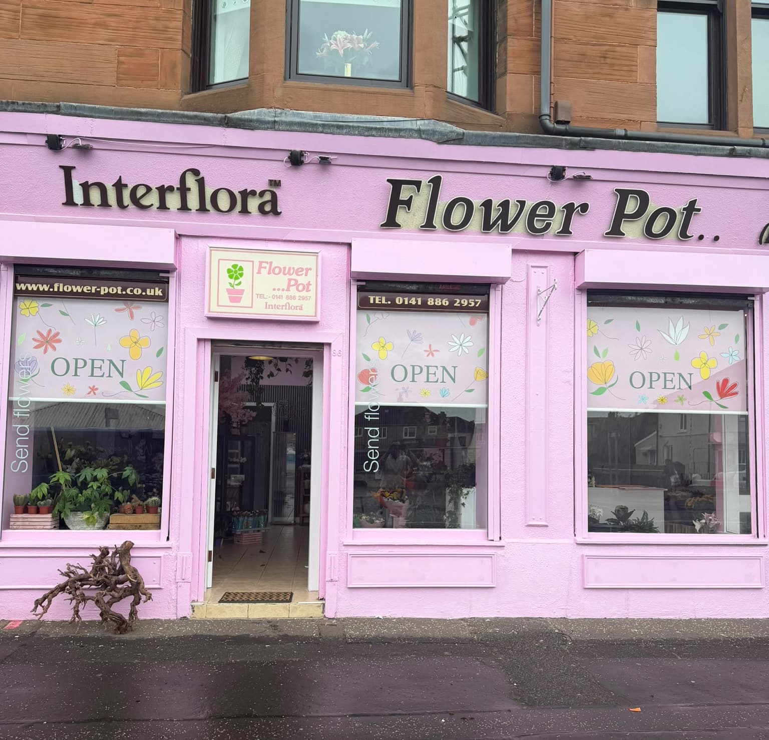 FLOWER POT